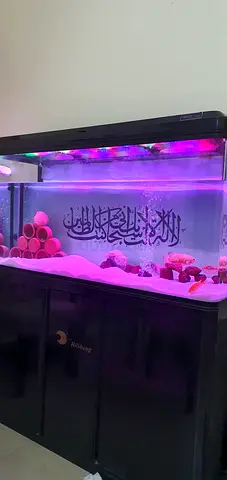 Aquarium