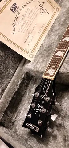 ESP James Hetfield Truckster Signature Model