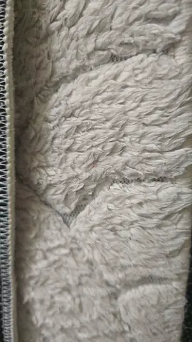Carpet rugs