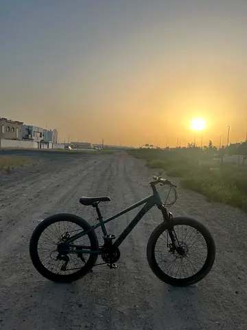 REF•speed mountain bike