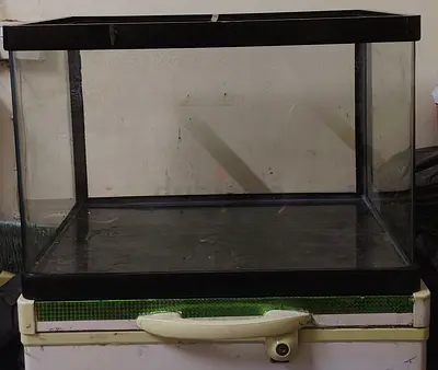 Used Glass Fish Aquarium Tank with Black Frame
