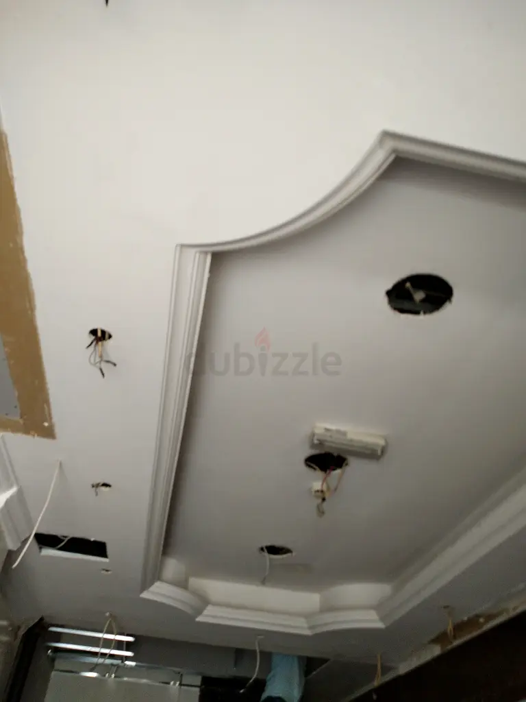 DPV_View_Image_8