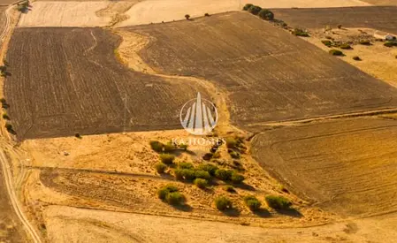 فرصة استثمارية: أرض سكنية مع خطة سداد 5 سنوات بدون رسوم تسجيل