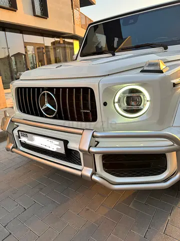 Brand new (lady owner)