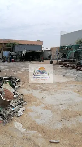 📍 الموقع: أم الثعوب – أم القيوين12
