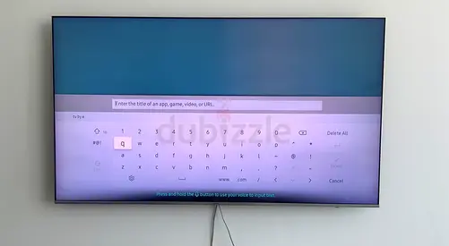 Samsung 65 inch
