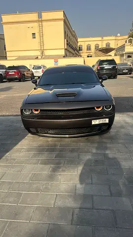 Dodge challenger 2019 clean condition