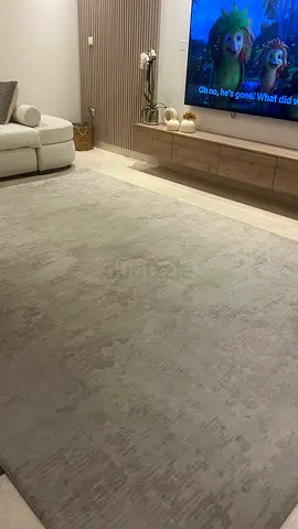 Large Neutral Modern Area Rug - Light Grey, good condition