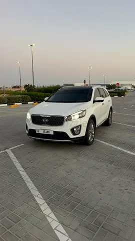 ام القيوين