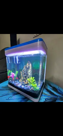 Small LED Aquarium Tank with Filter and Decorations