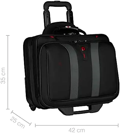 Laptop Travelling Case