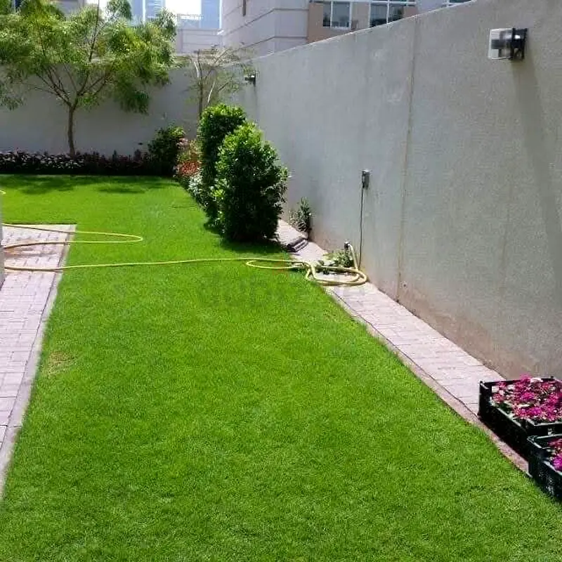 DPV_View_Image_4