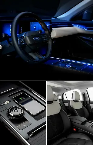 2024 FORD TAURUS 照片 9