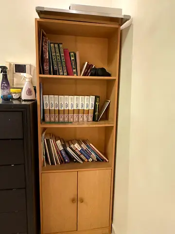 Book shelf/ organizer
