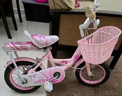 Bicycle for sale
