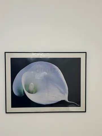 Wall hanging Clearance