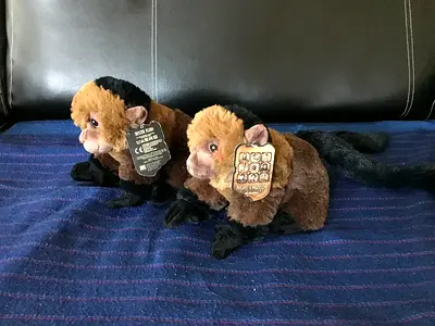 2 “Night at the Museum” Dexter 8” Plush Toys