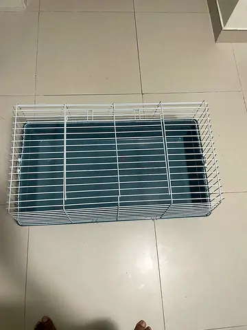 Cage, Litter Tray  Pet Carrier
