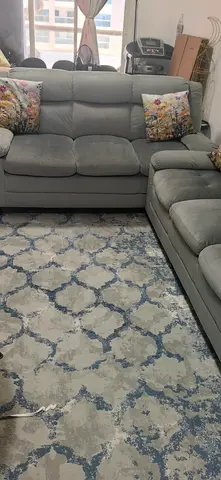 6 seater sofa and big size carpet