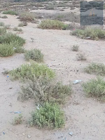 Farm for sale in Masfout / Ajman