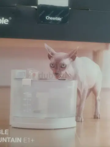 Pet water fountain for free