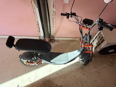Electric bike