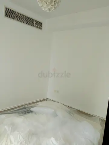 Professional painting service cheap painting service wall painting service  Home painting service