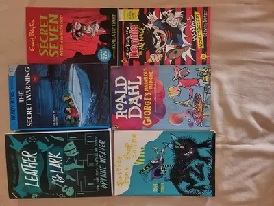 Collection of Children and Young Readers Books - Roald Dahl, Secret Seven, Hardy Boys, and more