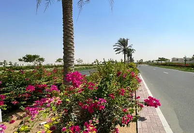 Freehold plot | Jebel Ali Hills | Affordable price