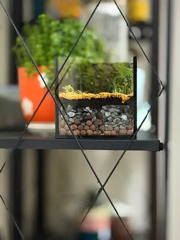 Small Glass Terrarium with Layered Stone and Moss - Ready Display Plant