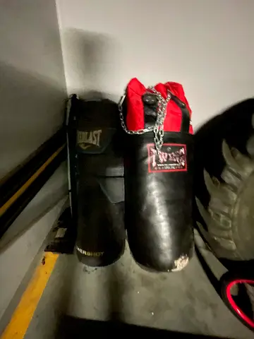 Boxing Bags