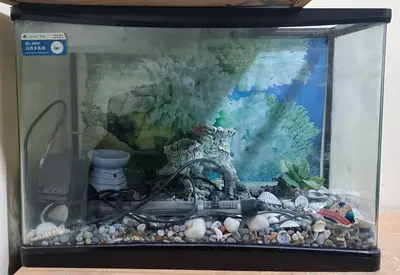 Used Glass Fish Aquarium Tank with Accessories (Small)