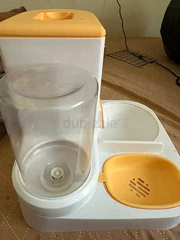 Cat bowl