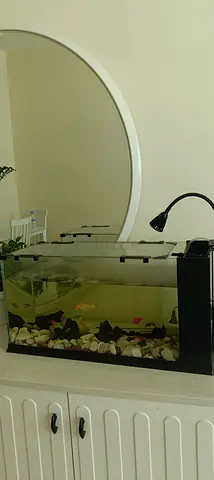 Small Home Fish tank with Filter , heater and Accessories