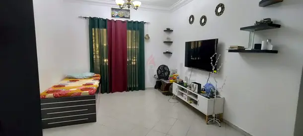 1 BHK Fully Furnished Apartment for Rent