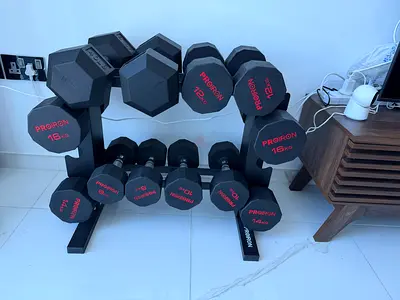 Set of Hex Rubber Dumbbells on Rack — Multiple Weights (two x 8,10,12,14,16,18.1 Kgs)