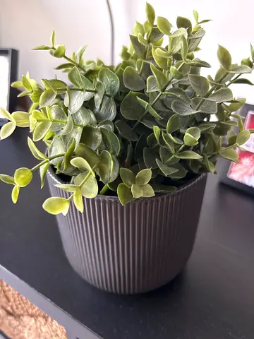 Fake plants
