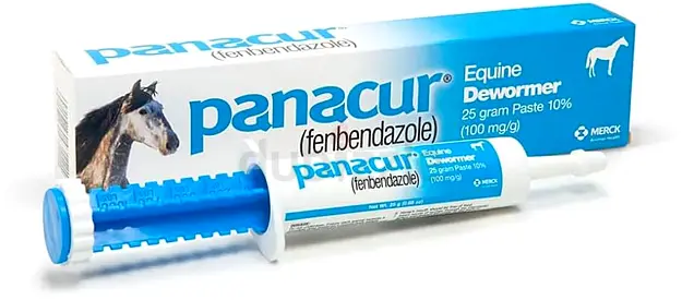 (3 Pack) PANACUR Dewormer HORSE PASTE 10%, 100mg each Horse Dewormer Flaored with artificial -cinnam