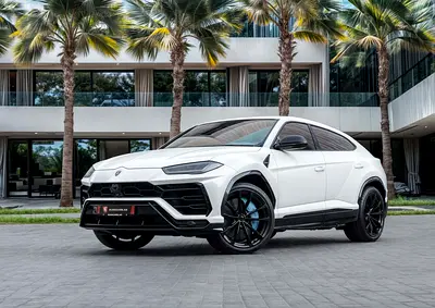 11,750 P.M |  Urus | 0% Downpayment | Lamborghini Urus Pristine Condition!