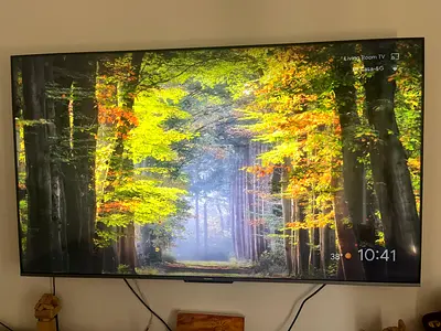 75-inch Samsung LED TV (wall-mounted) - Good working condition