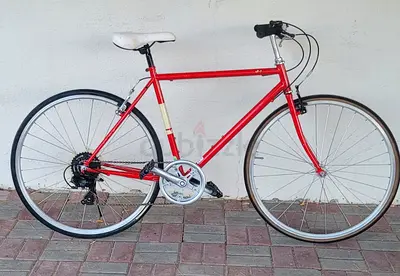 Classic Red Hybrid Road Bike — 21-Speed, Good Working Condition