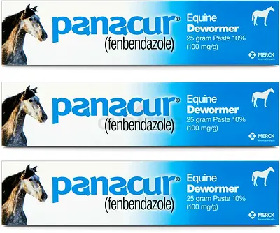 (3 Pack) PANACUR Dewormer HORSE PASTE 10%, 100mg each Horse Dewormer Flaored with artificial -cinnam