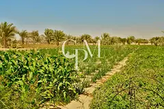 Large Farm | Fully Equipped | Ideal Investment