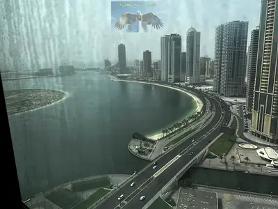 اجمل3BHK | اطلاله بحريه | تكيف مجانى | باركن | جيم و مسبح | غرفه خادمه | خزائن بالحائط | بلكونه | على مخرج دبى