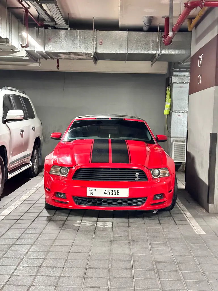 Ford Mustang 2014 — photo 1 of 5