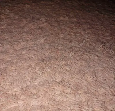 Light Pink Shaggy Area Rug - Soft Plush Texture