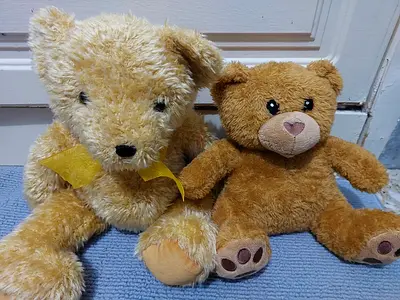 Teddy bear stuff toy for sale
