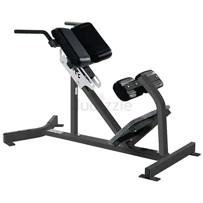 Hammer Strength Back Extension Bench
