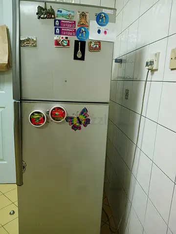 Used double-door refrigerator - good working condition