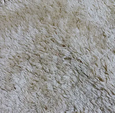 Cream Shaggy Area Rug - Soft Plush Pile, Good Condition 4*1  meter